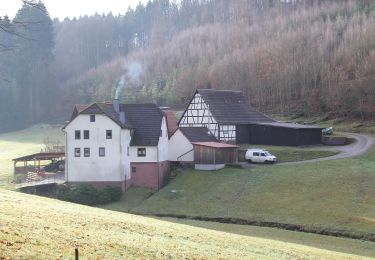 Trail On foot Esselbach - Ortswanderweg Hafenlohr 5 - Photo