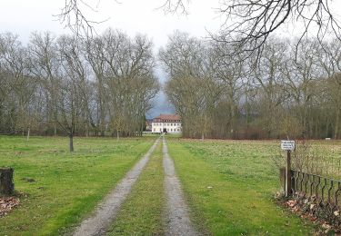 Tocht Te voet Freudental - Rotes Kreuz Freudental - Sachsenheim - Photo