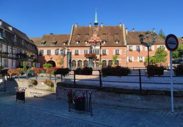 Tour Wandern Oberehnheim - Audax Heilligenstein 75 kms - Photo