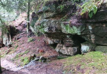 Randonnée Marche Saint-Étienne-lès-Remiremont - Le sentier des Pourdingues - Photo