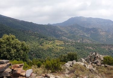 Randonnée Marche Banyuls-sur-Mer - PuigSallfort_T - Photo