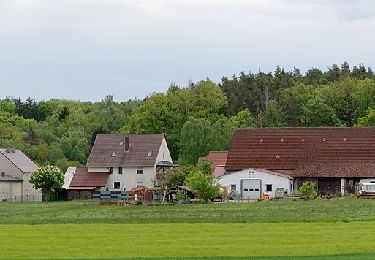 Tocht Te voet Großenseebach - Seebachgrund-Wanderweg - Photo