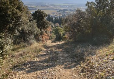 Tour Wandern Manosque - La Tour du Mont d'Or  - Photo