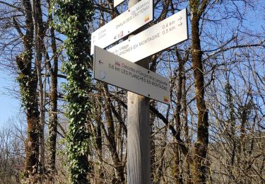 Tocht Stappen Les Planches-en-Montagne - gorges de Langouette - Photo