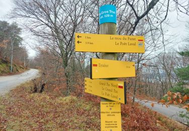 Tocht Te voet Le Poët-Laval - Magnifique trail en Drôme Provençale !!!🤩 - Photo