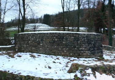 Tocht Te voet Baldingen - Rundweg - fixme - Photo