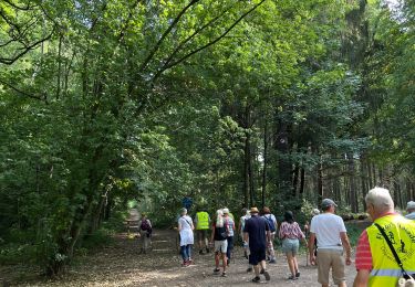 Tocht Stappen Sprimont - Banneurs - Photo