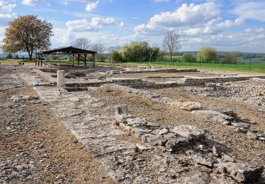 Excursión A pie Alise-Sainte-Reine - Sur les traces de Vercingétorix - Photo