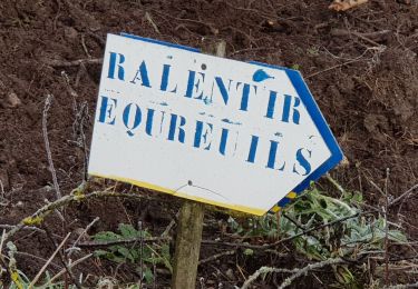 Randonnée V.T.T. Saint-Clément - sortie vtt du 19012020 - Photo