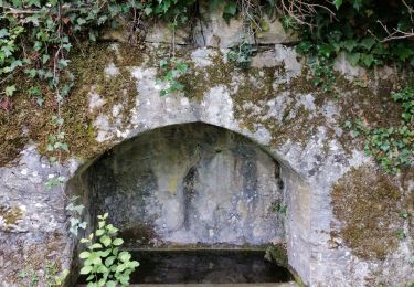 Tocht Stappen Utelle - Boucle Utelle Madone Chapelle St Antoine - Photo