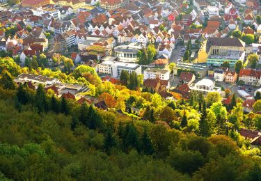 Tocht Te voet Gomadingen - Nebenweg - Ebingen - Weg Nr. 1 - Engesboch - Waldheim - Schloßfelsen - Ebingen - Holzhalde - Photo