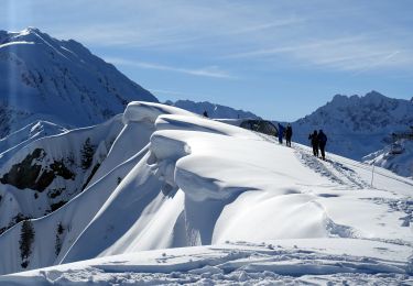 Tocht Sneeuwschoenen La Chapelle-du-Bard - Crête des Planes-2021-02-14 - Photo