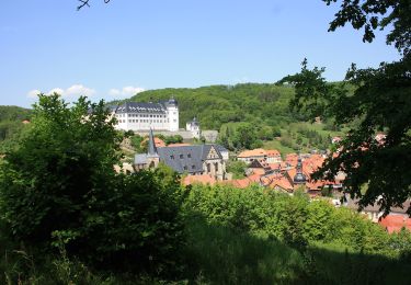 Tocht Te voet Harztor - Wanderweg 