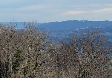 Tour Wandern Izenave - l'avocat les eolienes - Photo