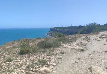 Randonnée Marche Leucate - FALAISES LEUCATE-LA FRANQUI Mardi jour - Photo