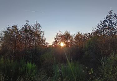 Trail Walking Eupen - nahtsief court - Photo