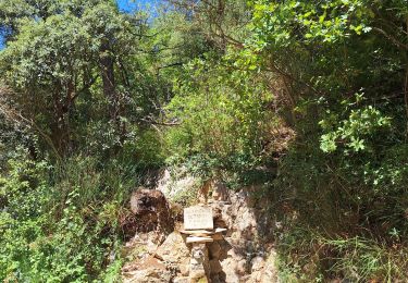 Percorso Marcia Gigondas - GIGONDAS / DENTELLES DE MONTMIRAIL - Photo