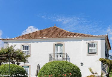 Tocht Te voet Carvoeira e Carmões - Rota das Quintas - Photo