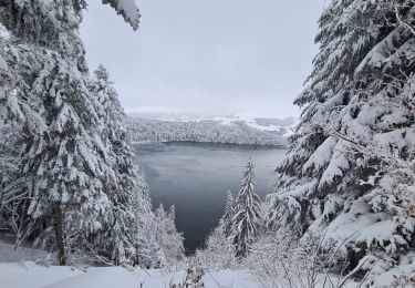 Tour Nordic Walking Besse-et-Saint-Anastaise - lac pavin 02/01/2021 - Photo