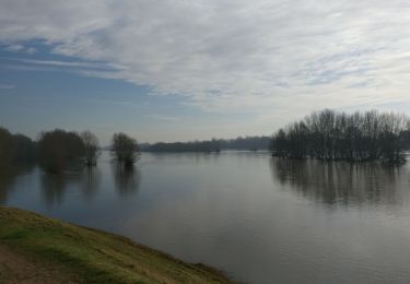 Trail Walking Mardié - 20180114 - Photo