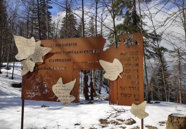 Tocht Stappen Chapelle-des-Bois - roche Champion/roche Bernard - Photo