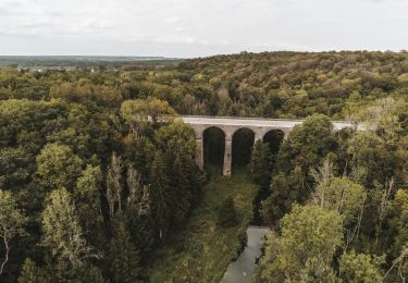 Trail Horseback riding Chimay - 9652413-GT équestre - Virelles-Dailly - Tronçon 3 - Photo