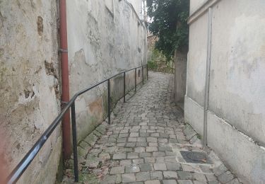 Percorso Marcia Longjumeau - La rivière morte - Photo