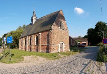 Excursión A pie Overijse - Justius Lipsius wandelpad - Photo