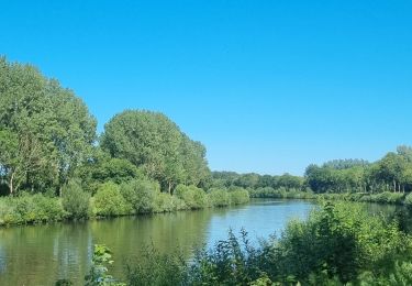 Randonnée Vélo électrique Gand - Vlaamse Ardennen - Photo