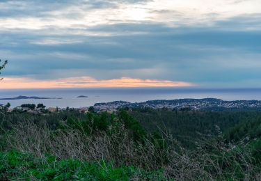 Randonnée A pied Ollioules - De Ollioules à Bandol - Photo