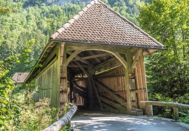 Tour Zu Fuß Schwyz - Schlattli - Bläckerli - Photo