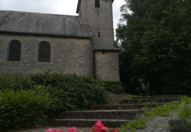 Tour Wandern Braine-l’Alleud - marche à pied  - Photo