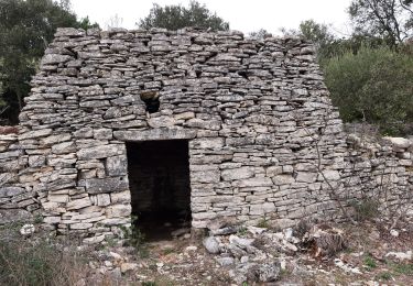 Tocht Stappen Martignargues - Marsillargues-Vézenorbes 220317 - Photo