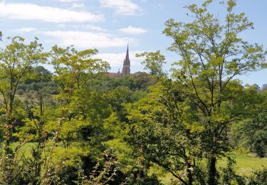 Trail Walking Sampans - Dole, mont Roland  - Photo