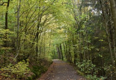 Trail Walking Eupen - 20201018 - Eupen 5.6 Km - Photo