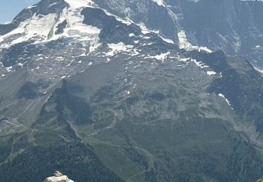 Percorso Marcia Chamonix-Mont-Blanc - Lac blanc CHAMONIX  - Photo