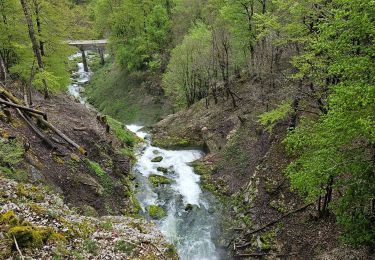 Trail Walking Foncine-le-Bas - Autour de la cascade du Bief de la Ruine 🥾 - Photo