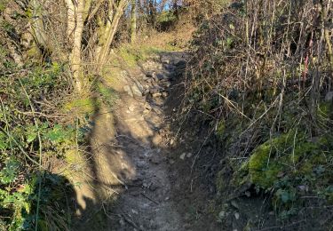 Excursión Senderismo Olne - Tranchée St Hadelin Nessonvaux - Photo