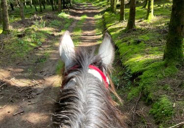 Tour Reiten Bastnach - Livarchamps - Photo