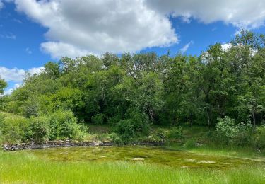 Tour Wandern Varaire - Limognes Lugagnac  - Photo