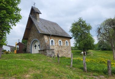 Trail Walking Bertrix - Auby sur Semois 070525 - Photo