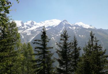 Tocht Stappen Les Houches - AIGUILLETTE DES HOUCHES - Photo