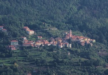 Percorso A piedi Carro - Pavareto – La Mola – Sella Monte Stronzi - Photo