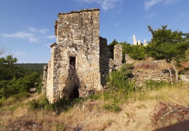 Trail Walking Saint-Étienne-les-Orgues - MONTLAUX.  Le Revest.  La Blache . Vieux Montlaux o l s - Photo