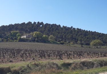 Tocht Stappen Villelaure - Villelaure Hubac Collet Blanc - Photo