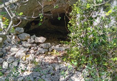 Trail Walking Bédoin - Bedoin  - Photo