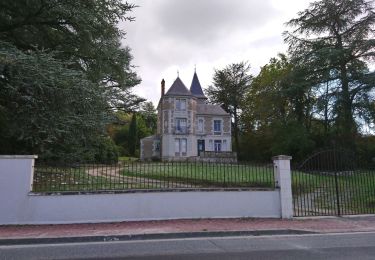 Randonnée Marche Saint-Georges-sur-Cher - Saint-Georges-sur-Cher - l'Union la Pierrerie les Raimbaudières - 13.1km 125m 3h05 - 2018 04 02 - Photo