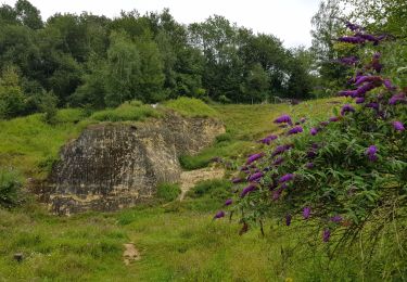 Tour Wandern Falkenburg an der Göhl - 2021-07-31_16h24m37_668 (1) - Photo