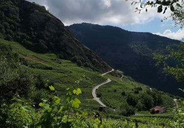 Excursión Marcha nórdica Arbaz - uvrier  - Photo