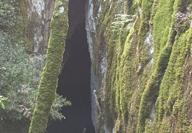 Tocht Stappen Signes - Siou Blanc l'aven du châtaignier,  le pyramide de Cassidy - Photo